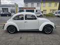 Volkswagen Käfer VW 1200 Kaefer L H-Kennzeichen RESTAURIERT Weiß - thumbnail 4