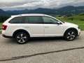 Skoda Octavia Scout 4x4 DSG, Navi, Kamera, AHK, Glas-Schiebedach Blanc - thumbnail 4
