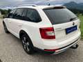 Skoda Octavia Scout 4x4 DSG, Navi, Kamera, AHK, Glas-Schiebedach Blanc - thumbnail 5
