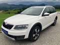 Skoda Octavia Scout 4x4 DSG, Navi, Kamera, AHK, Glas-Schiebedach Blanc - thumbnail 1