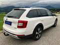 Skoda Octavia Scout 4x4 DSG, Navi, Kamera, AHK, Glas-Schiebedach Blanc - thumbnail 6