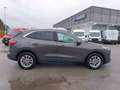 Ford Kuga 2.0 EcoBlue Hybrid 150 CV 2WD Titanium Gris - thumbnail 12