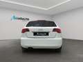 Audi A3 Sportback 1.9TDI Ambiente Weiß - thumbnail 4