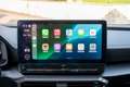 CUPRA Formentor 2.0 TSI 4Drive DSG Grigio - thumbnail 15