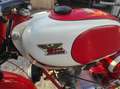 Moto Morini Corsaro 125 Corsaro 125 Rouge - thumbnail 19