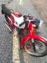 Moto Morini Corsaro 125 Corsaro 125 Rojo - thumbnail 11