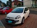 Fiat Punto Evo 5p 1.6 mjt Emotion s&s 120cv Blanc - thumbnail 1