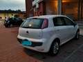 Fiat Punto Evo 5p 1.6 mjt Emotion s&s 120cv White - thumbnail 2