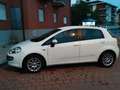 Fiat Punto Evo 5p 1.6 mjt Emotion s&s 120cv White - thumbnail 3
