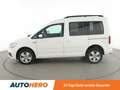 Volkswagen Caddy 2.0 TDI Comfortline 4Motion BlueMotion*XENON*NAVI* Weiß - thumbnail 3