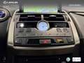 Lexus NX 300 300h F Sport Panorámico 4WD Blau - thumbnail 21