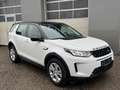 Land Rover Discovery Sport D165 4WD Aut. Weiß - thumbnail 7