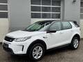 Land Rover Discovery Sport D165 4WD Aut. Weiß - thumbnail 19