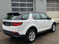 Land Rover Discovery Sport D165 4WD Aut. Weiß - thumbnail 5