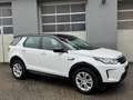 Land Rover Discovery Sport D165 4WD Aut. Weiß - thumbnail 20