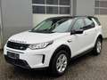 Land Rover Discovery Sport D165 4WD Aut. Weiß - thumbnail 8