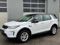 Land Rover Discovery Sport D165 4WD Aut. Weiß - thumbnail 1