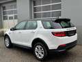 Land Rover Discovery Sport D165 4WD Aut. Weiß - thumbnail 6