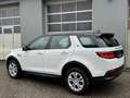 Land Rover Discovery Sport D165 4WD Aut. Weiß - thumbnail 24