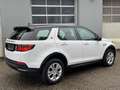 Land Rover Discovery Sport D165 4WD Aut. Weiß - thumbnail 23