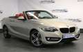 BMW 220 220d 2.0 Sport Cabrio *2HAND*LEDER*PDC*SHZ*AUX*uvm Grau - thumbnail 1