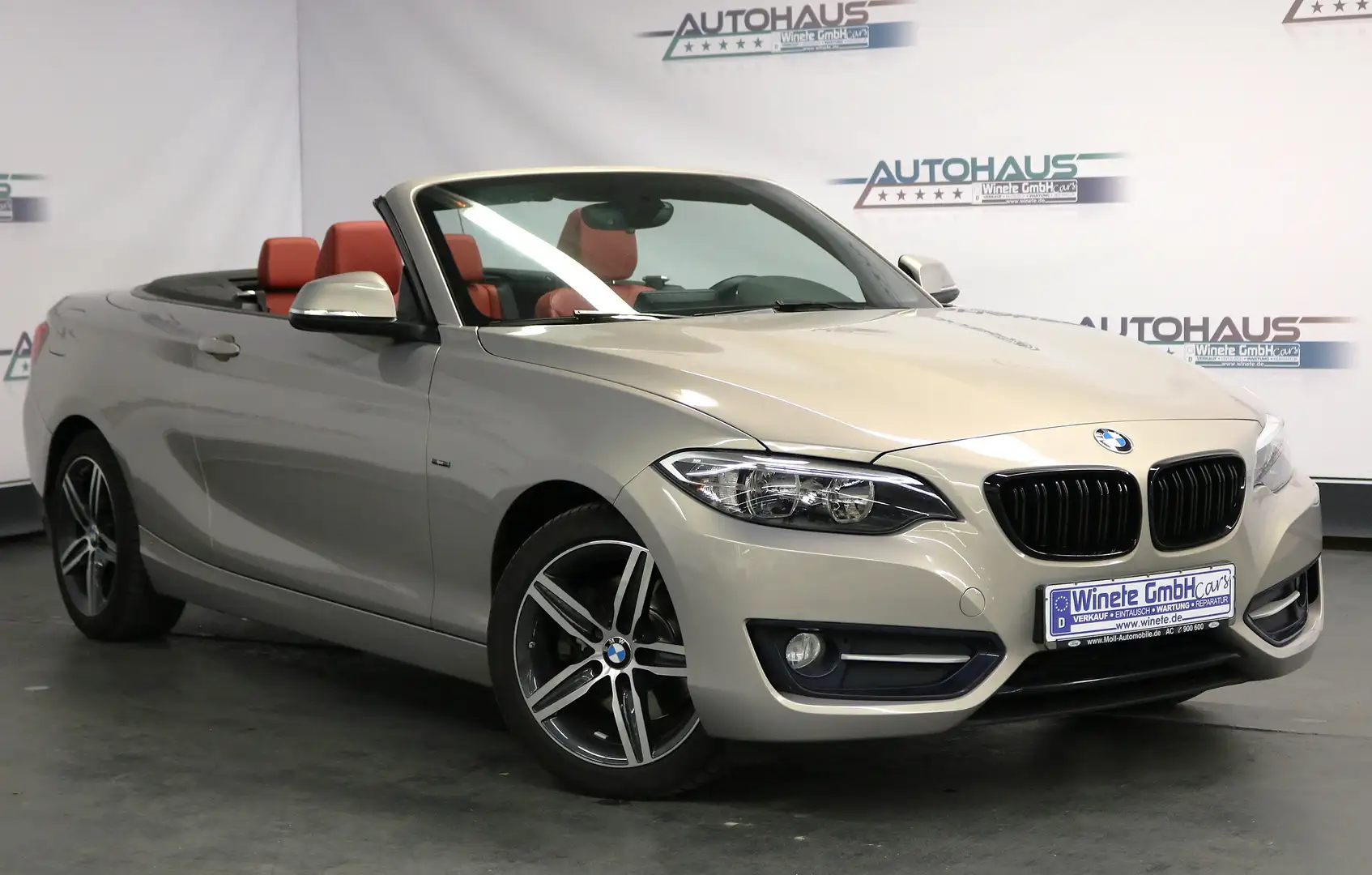 BMW 220 220d 2.0 Sport Cabrio *2HAND*LEDER*PDC*SHZ*AUX*uvm Grau - 1