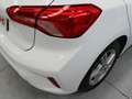 Ford Focus 1.0 Ecoboost 92kW Trend+ Blanc - thumbnail 26