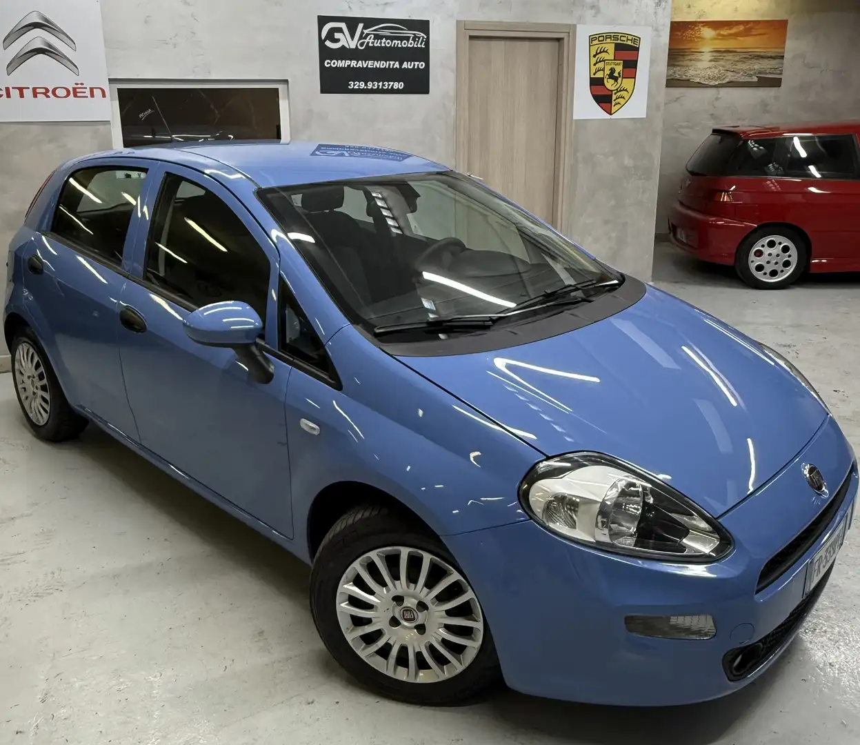 Fiat Punto 5p 1.3 mjt II 16v Lounge s&s 95cv my13 - 1