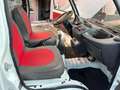 Piaggio Quargo ribaltabile diesel Blanc - thumbnail 14