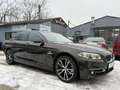 BMW 535 5er-Reihe Allrad Diesel (F10 LCI)  xDrive Aut. Braun - thumbnail 8