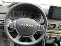 Dacia Jogger TCE 110 Extreme+(7-SITZER) Grau - thumbnail 14