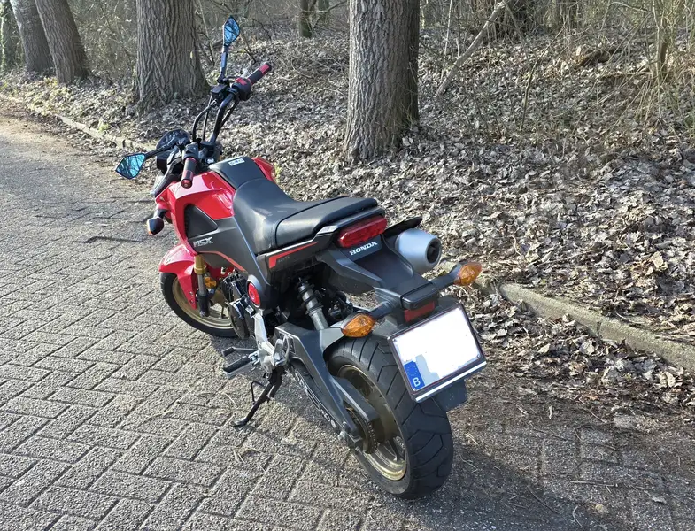 Honda MSX 125 - foto 3