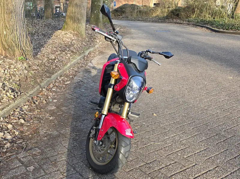 Honda MSX 125 - foto 5