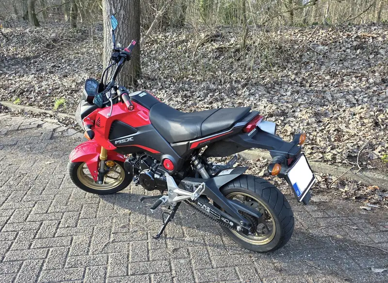 Honda MSX 125 - foto 2