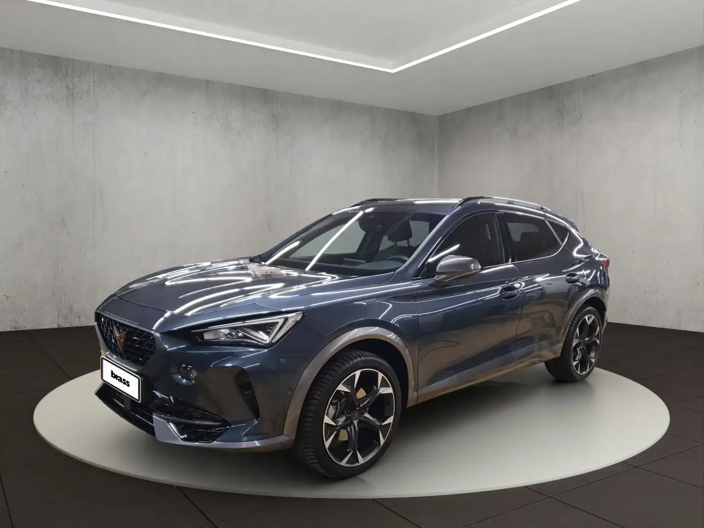 CUPRA Formentor 1.5 TSI OPF Basis Grau - 1