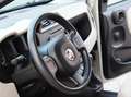 Fiat Panda 1.2ie FIRE PARI NUOVO EURO 6B CLIMA KM CERTIFICATI Grau - thumbnail 20