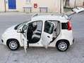Fiat Panda 1.2ie FIRE PARI NUOVO EURO 6B CLIMA KM CERTIFICATI Grau - thumbnail 1
