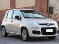 Fiat Panda 1.2ie FIRE PARI NUOVO EURO 6B CLIMA KM CERTIFICATI Grau - thumbnail 10
