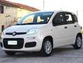 Fiat Panda 1.2ie FIRE PARI NUOVO EURO 6B CLIMA KM CERTIFICATI Grau - thumbnail 7