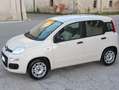 Fiat Panda 1.2ie FIRE PARI NUOVO EURO 6B CLIMA KM CERTIFICATI Grau - thumbnail 14