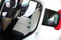 Fiat Panda 1.2ie FIRE PARI NUOVO EURO 6B CLIMA KM CERTIFICATI Grau - thumbnail 24