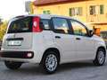 Fiat Panda 1.2ie FIRE PARI NUOVO EURO 6B CLIMA KM CERTIFICATI Grau - thumbnail 4