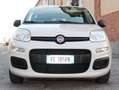 Fiat Panda 1.2ie FIRE PARI NUOVO EURO 6B CLIMA KM CERTIFICATI Grau - thumbnail 16