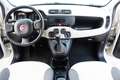 Fiat Panda 1.2ie FIRE PARI NUOVO EURO 6B CLIMA KM CERTIFICATI Grau - thumbnail 18