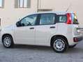 Fiat Panda 1.2ie FIRE PARI NUOVO EURO 6B CLIMA KM CERTIFICATI Grau - thumbnail 6