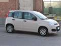 Fiat Panda 1.2ie FIRE PARI NUOVO EURO 6B CLIMA KM CERTIFICATI Grau - thumbnail 11