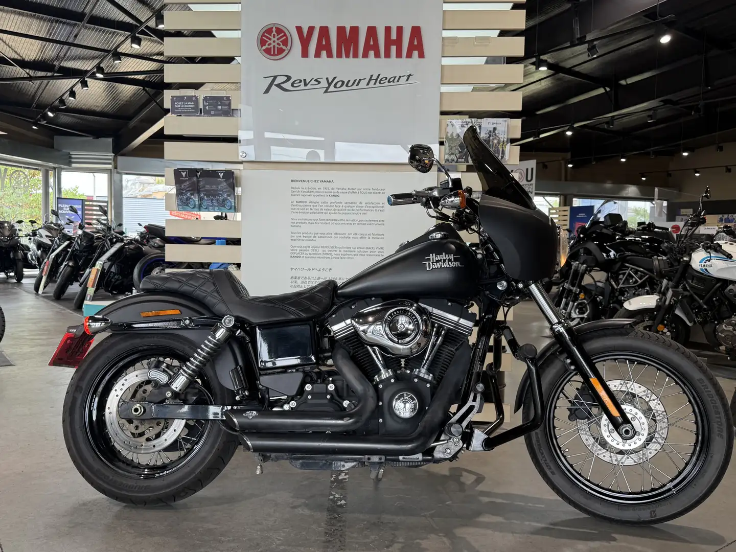 Harley-Davidson Dyna Street Bob Noir - 2