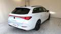 CUPRA Leon Sportstourer 2.0 TDI 150 CV DSG Blanc - thumbnail 2
