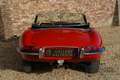 Jaguar E-Type Series 1 3.8 Roadster Much loved first series, Res Kırmızı - thumbnail 6