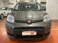 Fiat Panda Panda 1.0 firefly hybrid City Life s Сірий - thumbnail 2